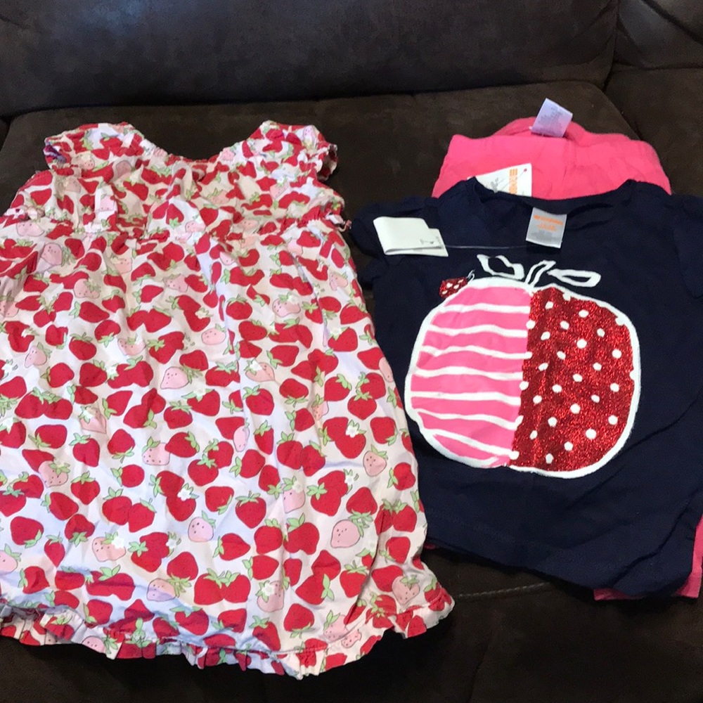 Gymboree lot of 12-18 mo. Some NWT.